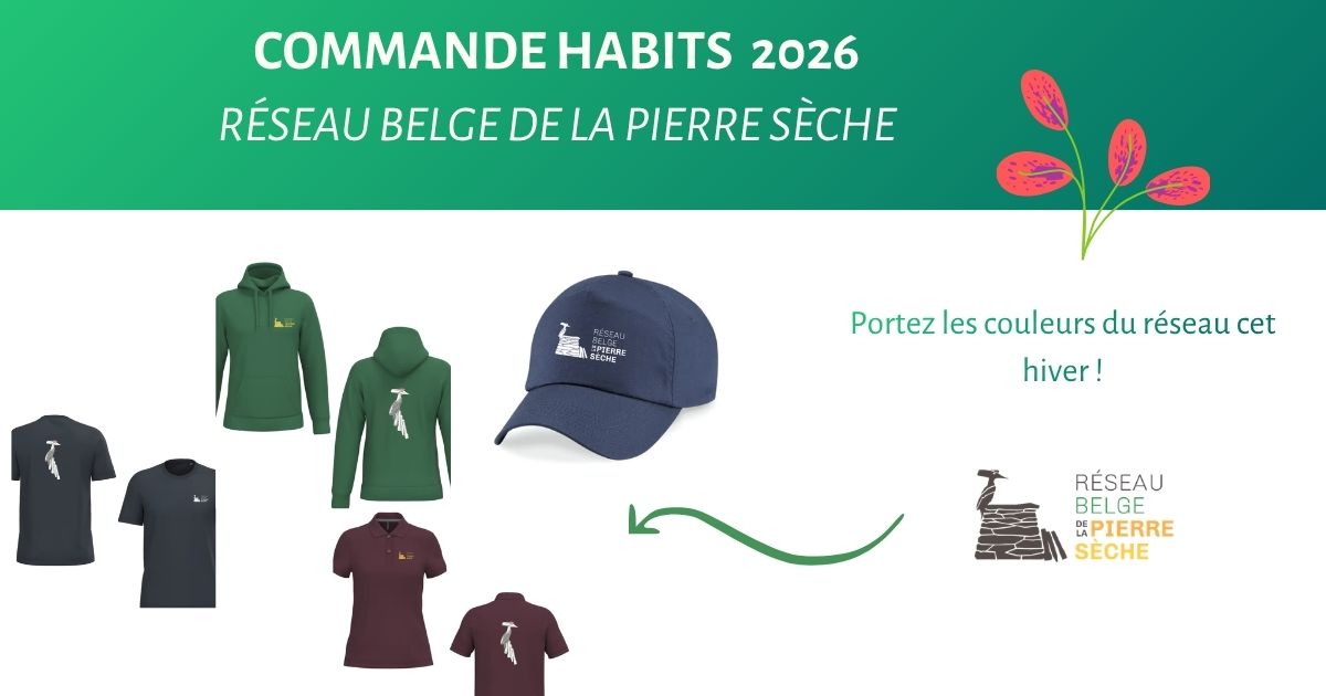  Un p'tit pull pour vous réchauffer cet automne ? 